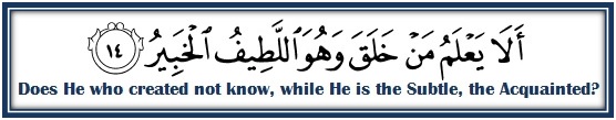 Image result for surah mulk ayat 14